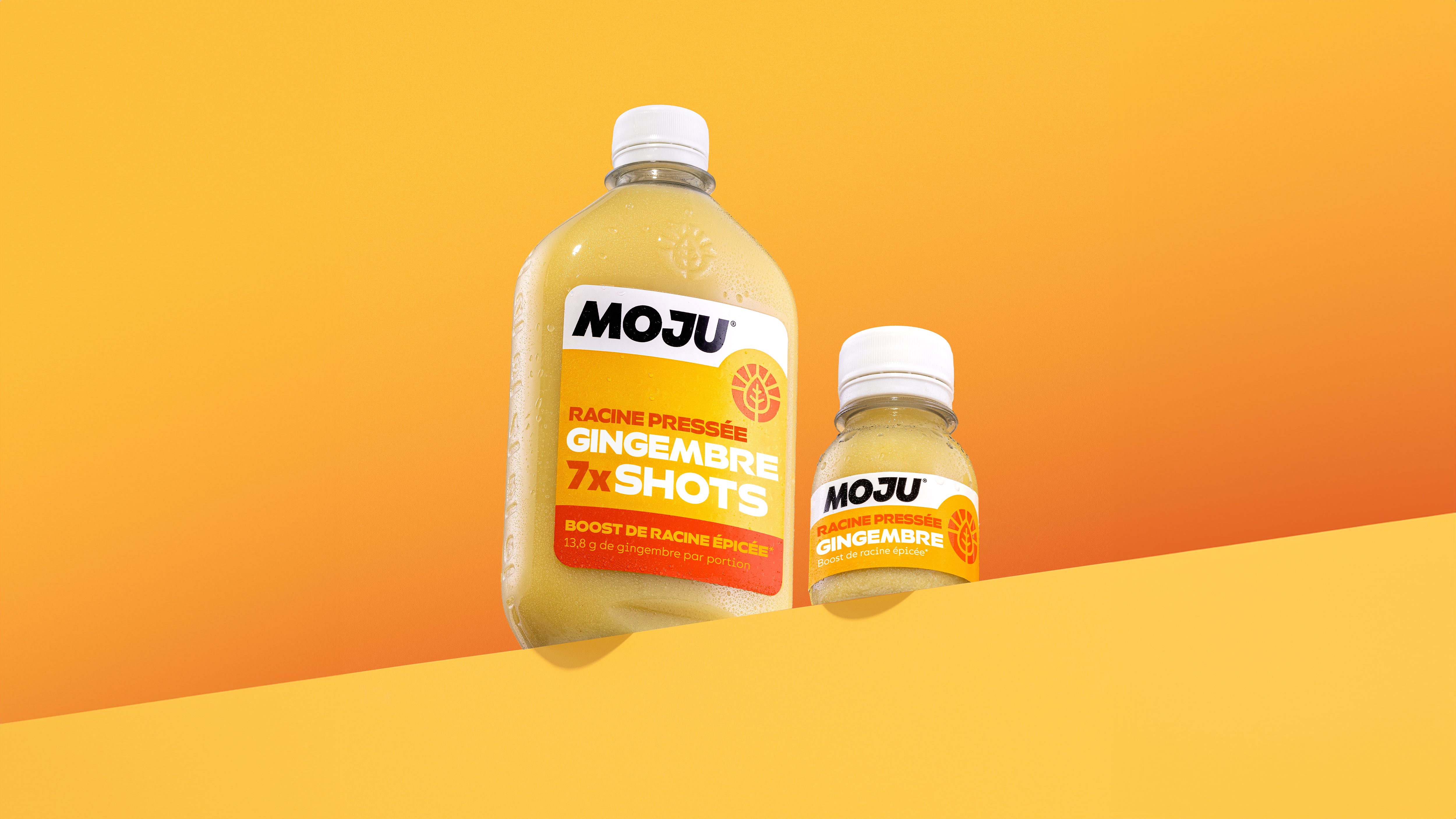 Shots de Gingembre